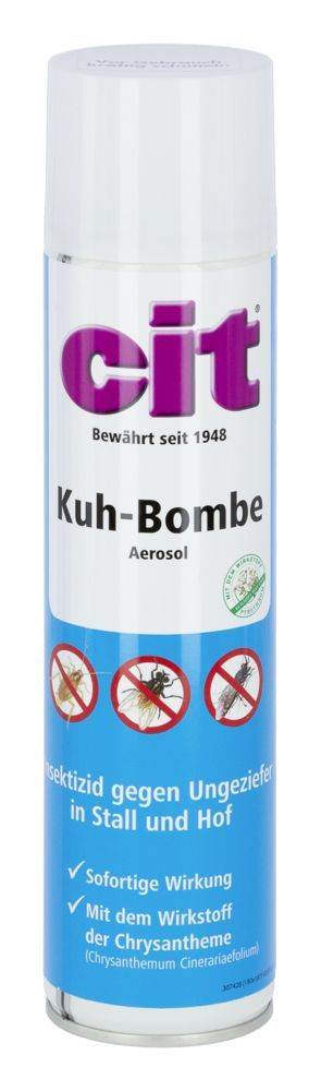 CIT Kuhbombe 400 ml