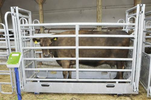 AniScale Tierwaage mit Wiegestand, Komplett-Set AniScale Tierwaage mit Wiegestand, Komplett-Set