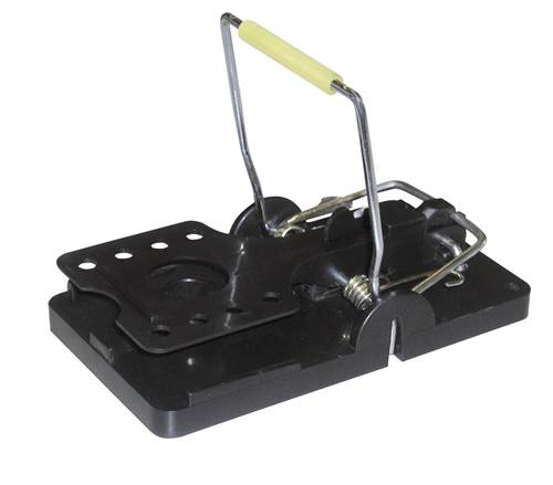 Rattenfalle SNAPPER einzeln