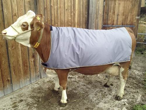 Thermodecke für Kühe, 175 cm