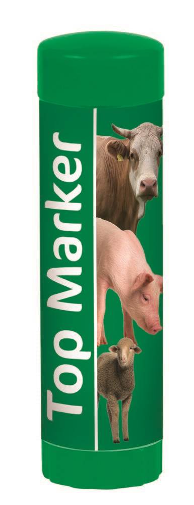 TopMarker Markierungsst.  grün