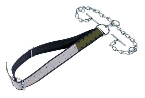 Bullenanbindung 7 cm, kompl. mit dopp. Kette