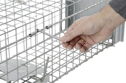 Kastenfalle Alive Predator Super, 105x26x30cm Kastenfalle Alive Predator Super, 105x26x30cm