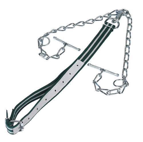 Rinderanb. kompl. m. Kette 6mm dopp., mit Karabiner