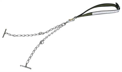 Rinderanb. kompl. m. Kette 6mm dopp.m.Sicherheitsversch.klein