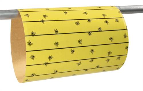 Fliegenfalle FlyMaster 6 Stk., 595x300 mm