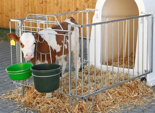 Schwere Umzäunung für PE Hütte Version 30