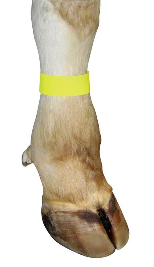 Markierungsbänder gelb Klettv. (10 St. im HB)