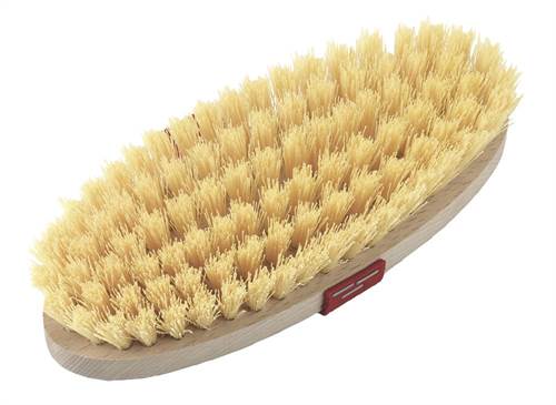 Bürste Kardätsche, Nylonb.