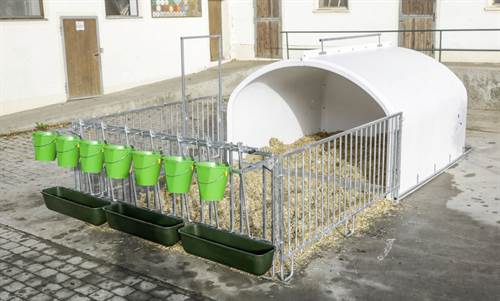 CalfHouse Premium XXL mit Umzäunung u. Tränke/Troghalter