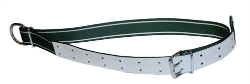 Halsb.grün/weiß,150x5cm mit Ovalglied und D-Ring